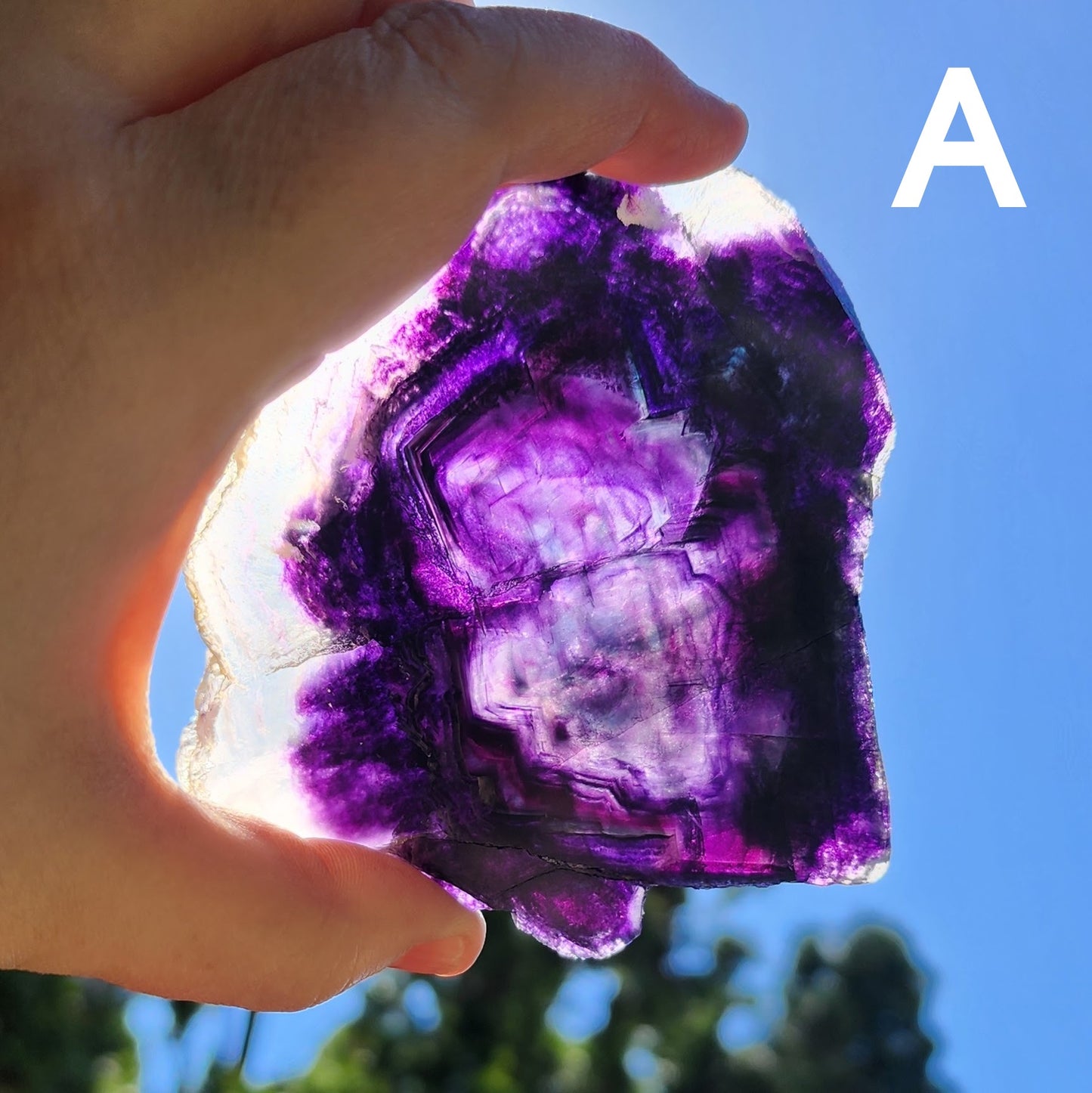 Dark Purple Fluorite 1/2 Inch Thick Slab - You Pick