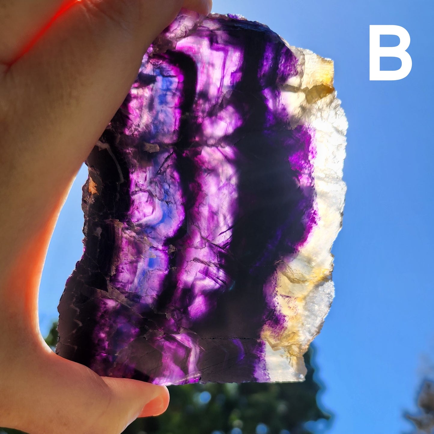 Dark Purple Fluorite 1/2 Inch Thick Slab - You Pick
