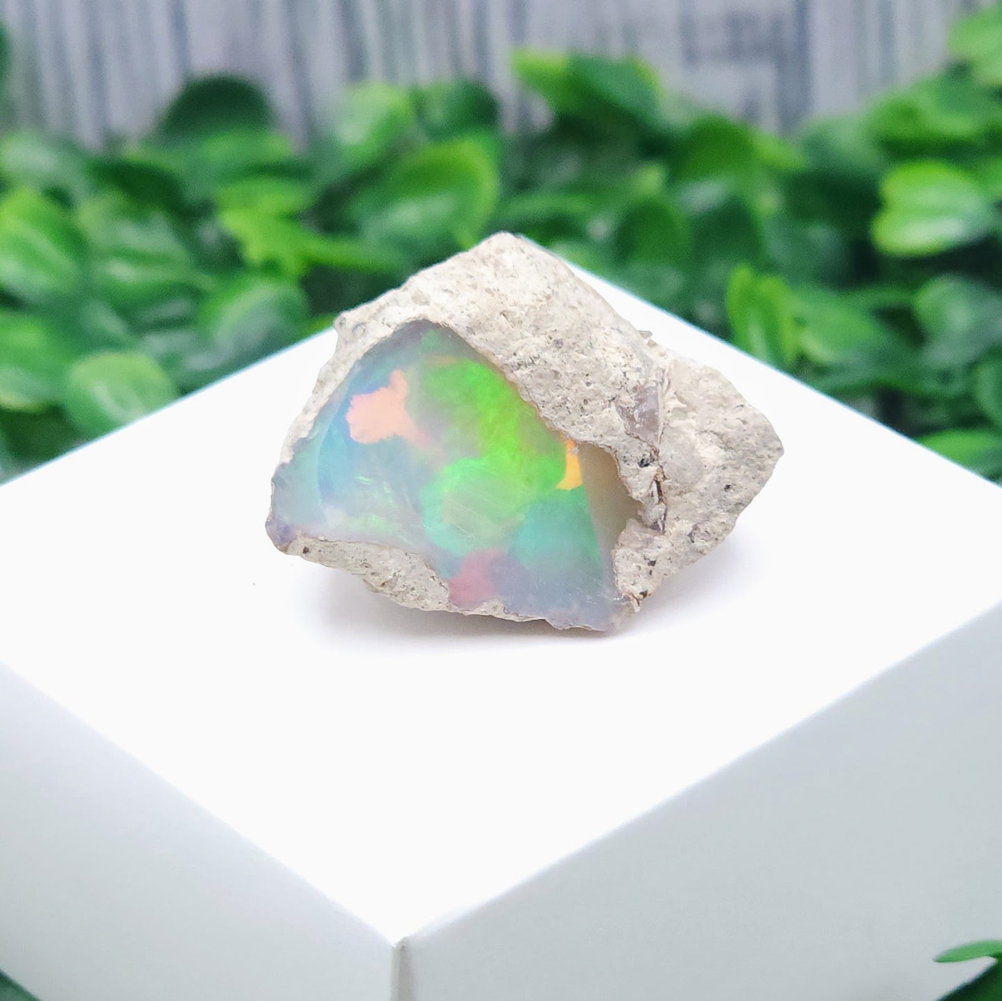 Opal Specimen (High Grade) - Green/Orange Flame - Welo/Ethopian - 6.4 grams