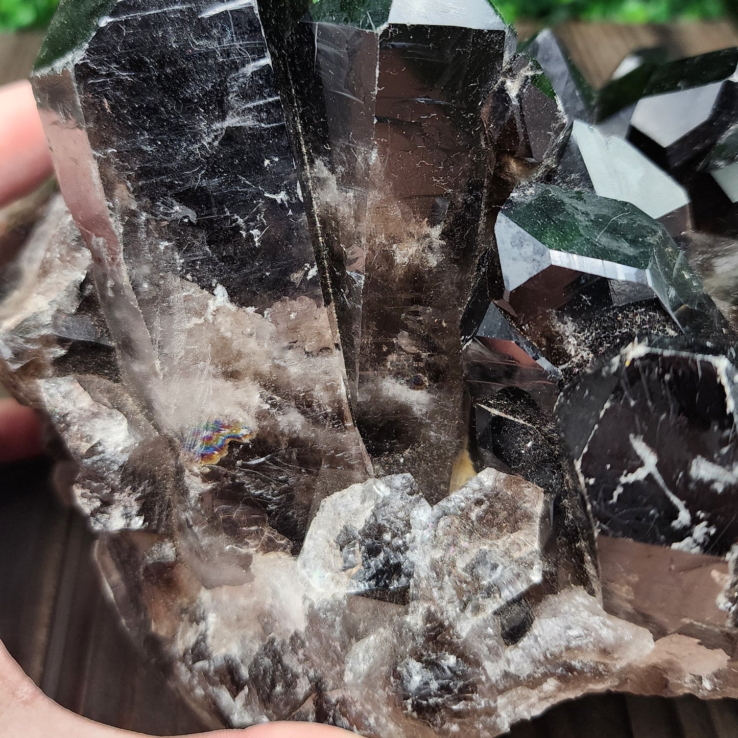 Smoky Quartz Cluster