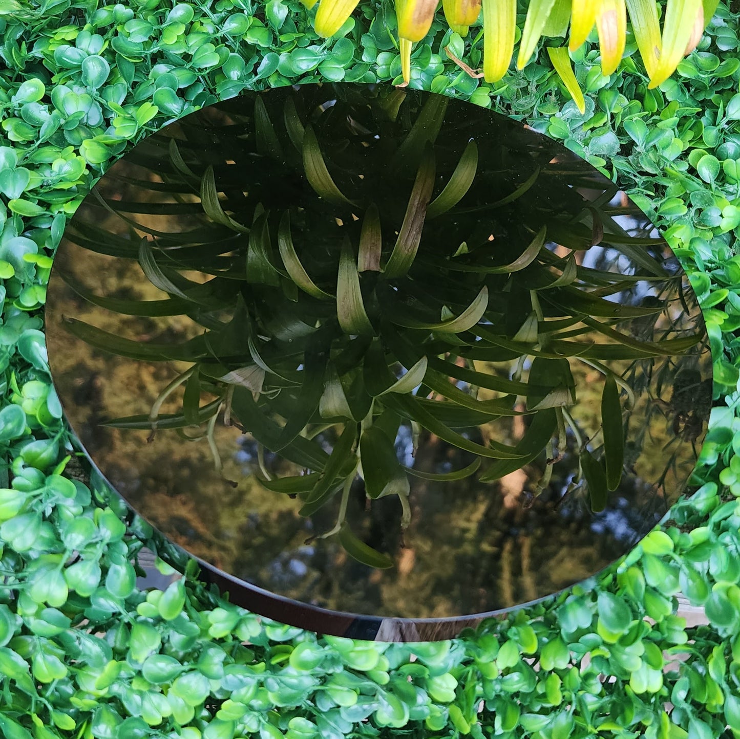 Black Obsidian Scrying Mirror (Stand included) OOAK Piece