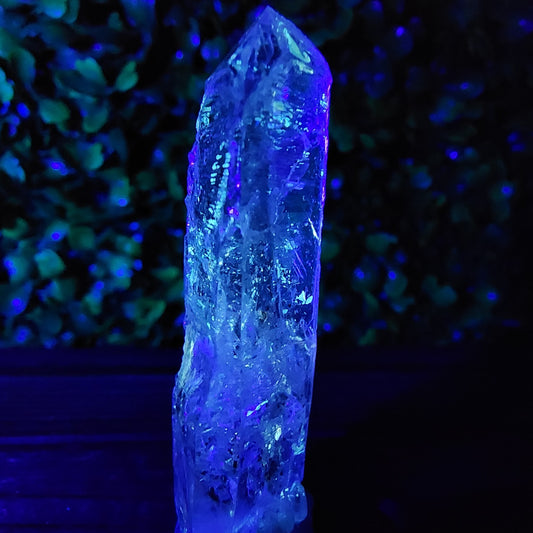 Petroleum Firefly Quartz 18.44g Specimen with Mobile Enhydro - UV Reactive