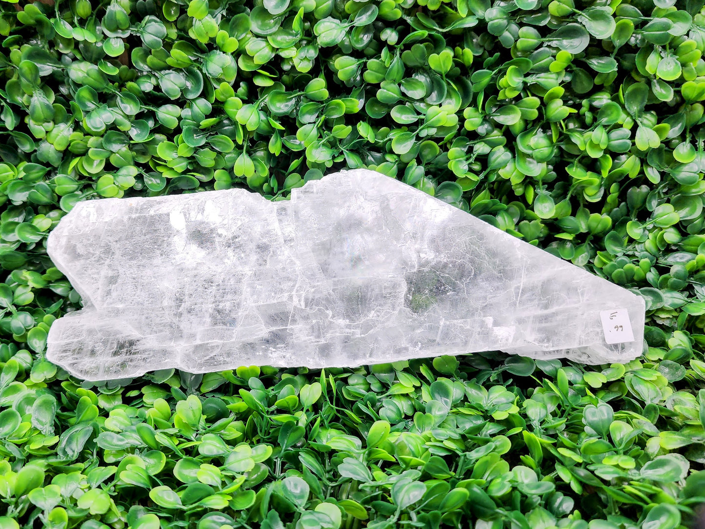 True Selenite Raw Slab - You Select