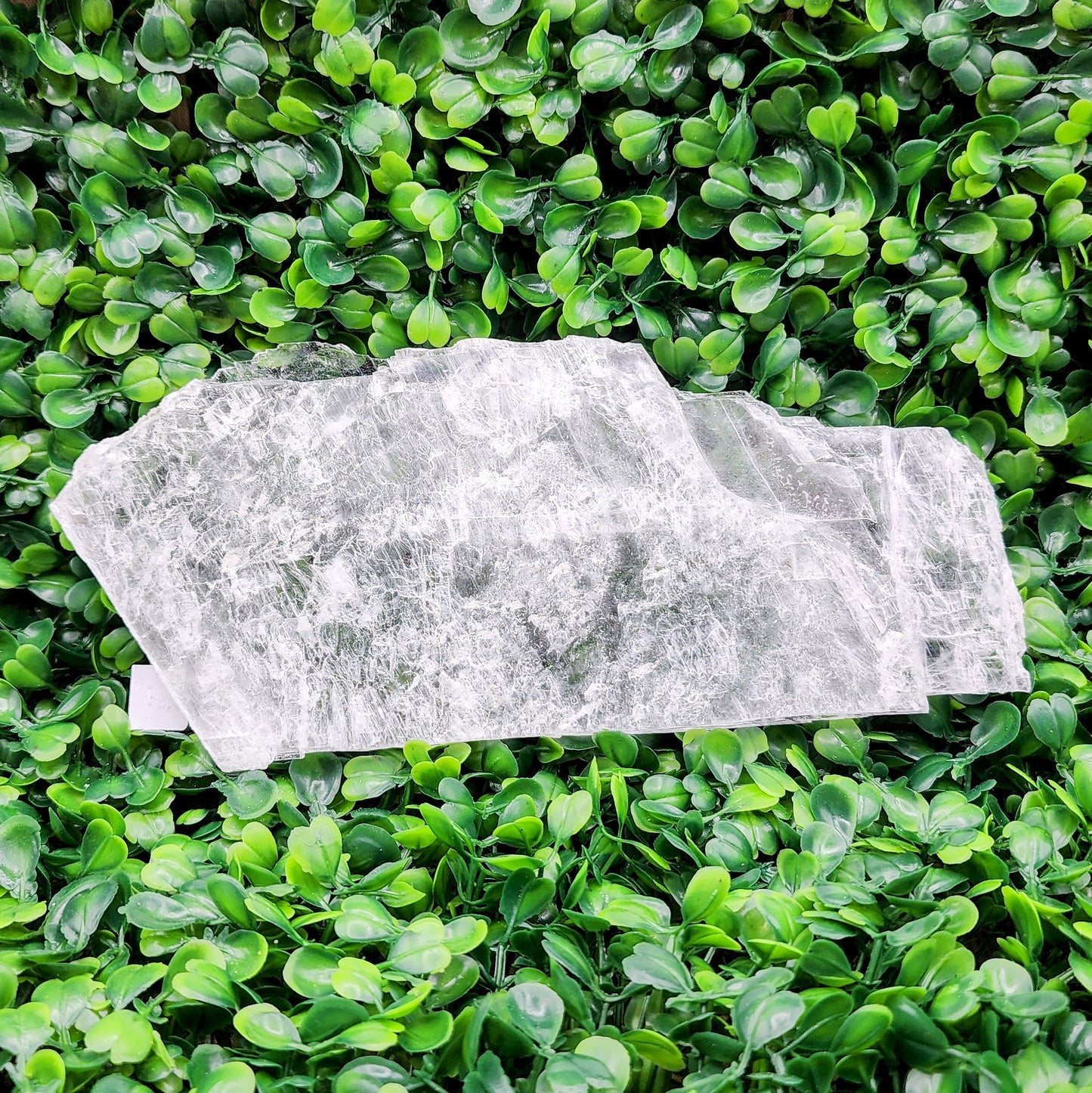 True Selenite Raw Slab - You Select