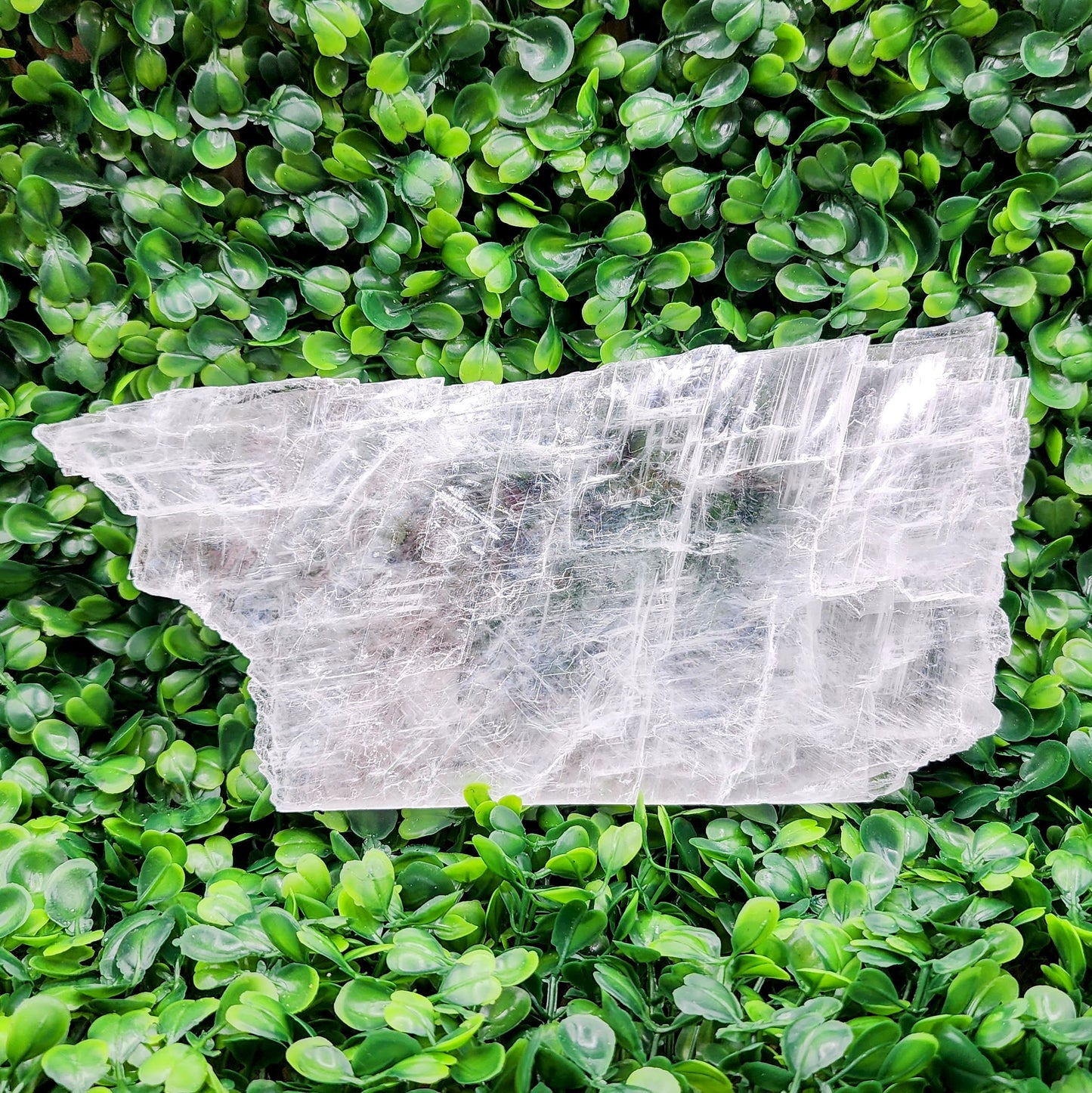 True Selenite Raw Slab - You Select