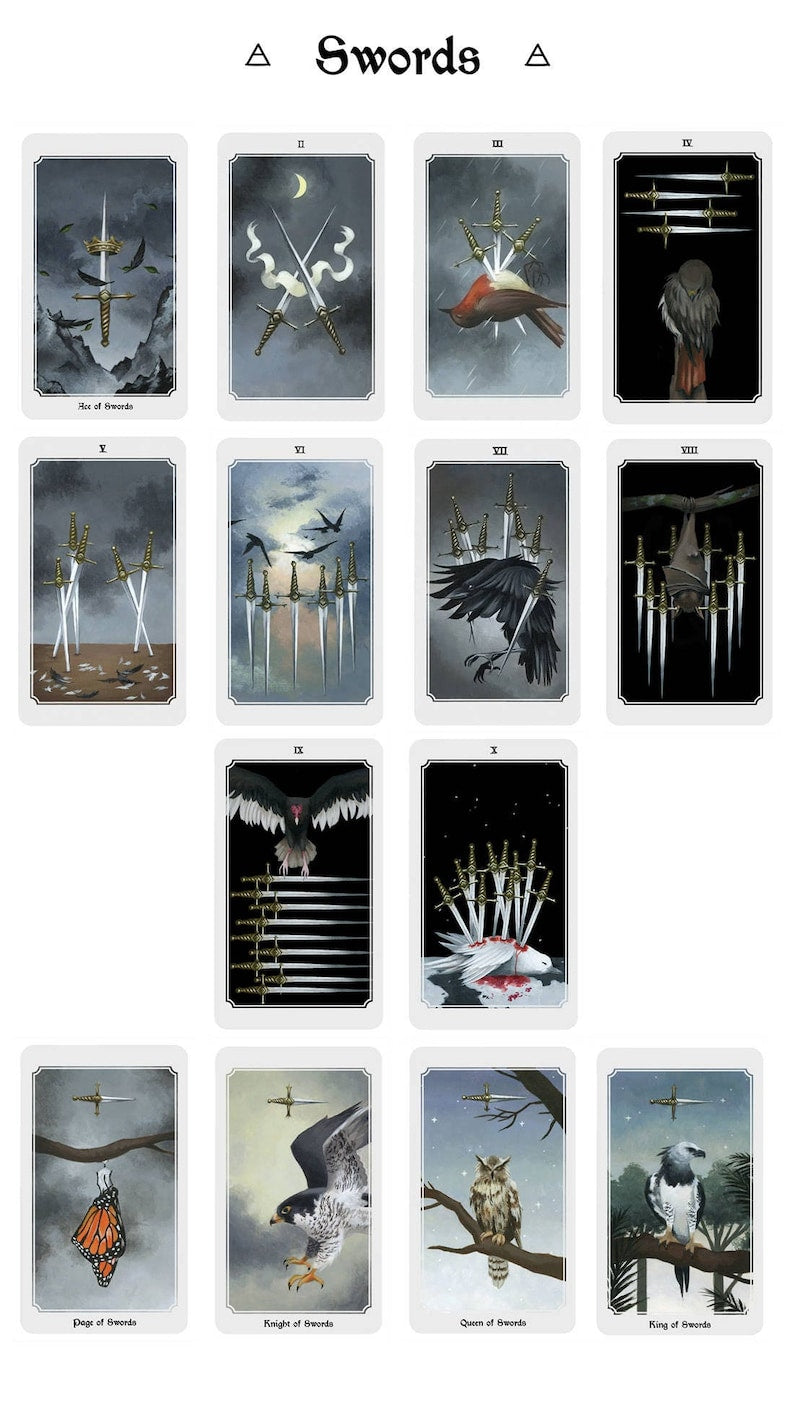 Anima Mundi Tarot Deck and Guidebook