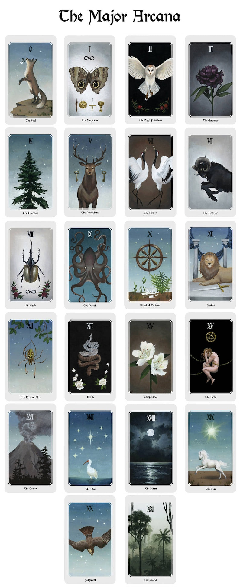 Anima Mundi Tarot Deck and Guidebook