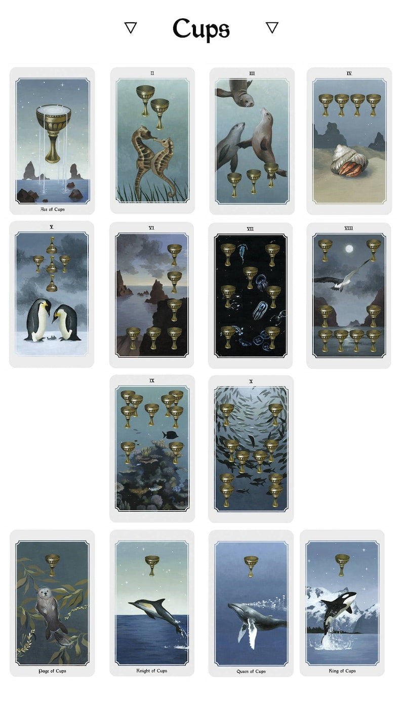 Anima Mundi Tarot Deck and Guidebook