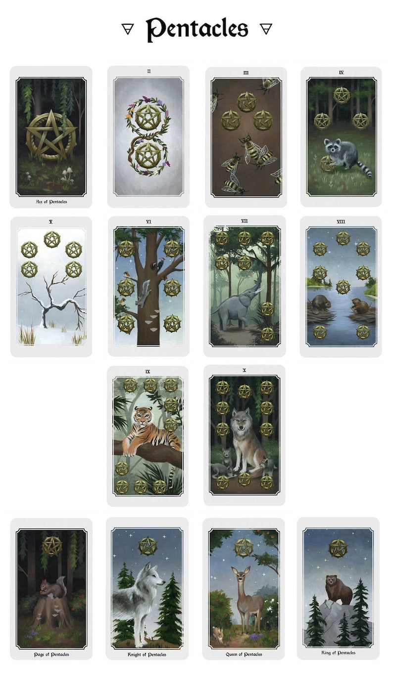 Anima Mundi Tarot Deck and Guidebook