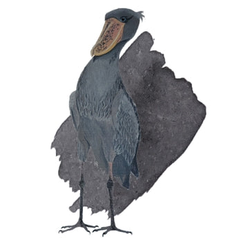 Shoebill Stork Grey - Anderillium Ink (1.5 oz bottle)