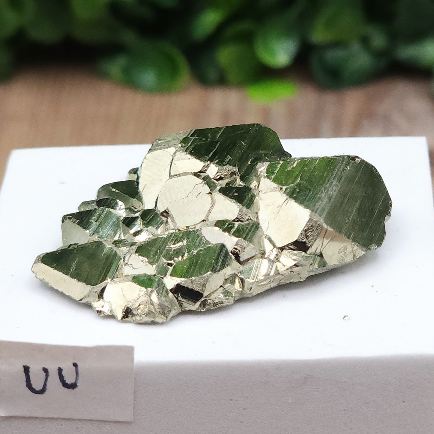 Pyrite Flat Cluster (Peruvian) - 24g (OOAK - UU)