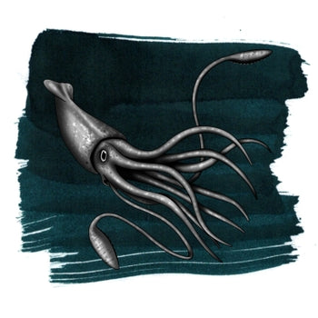 Colossal Squid Dark - Anderillium Ink (1.5 oz bottle)